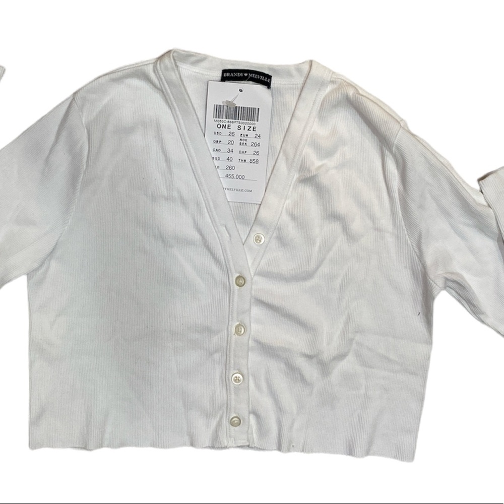 Brandy Melville crop top